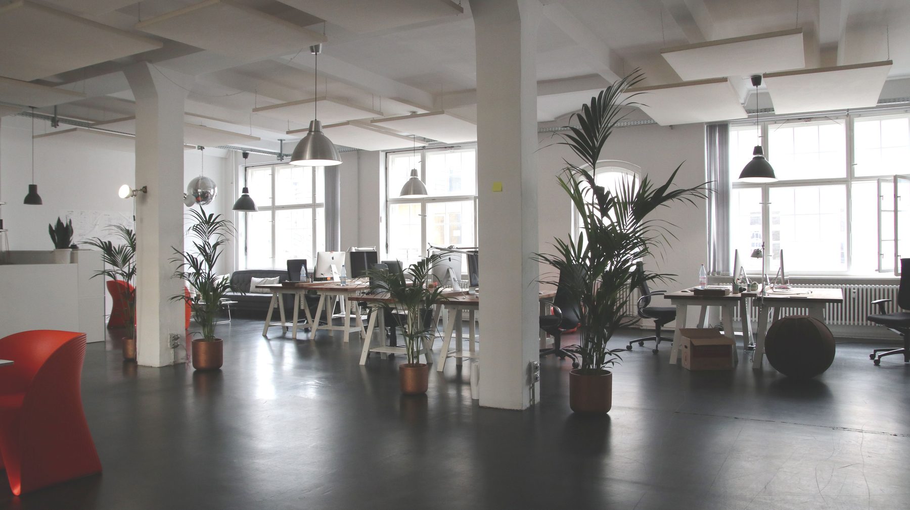 A bright, well-maintained commercial workspace